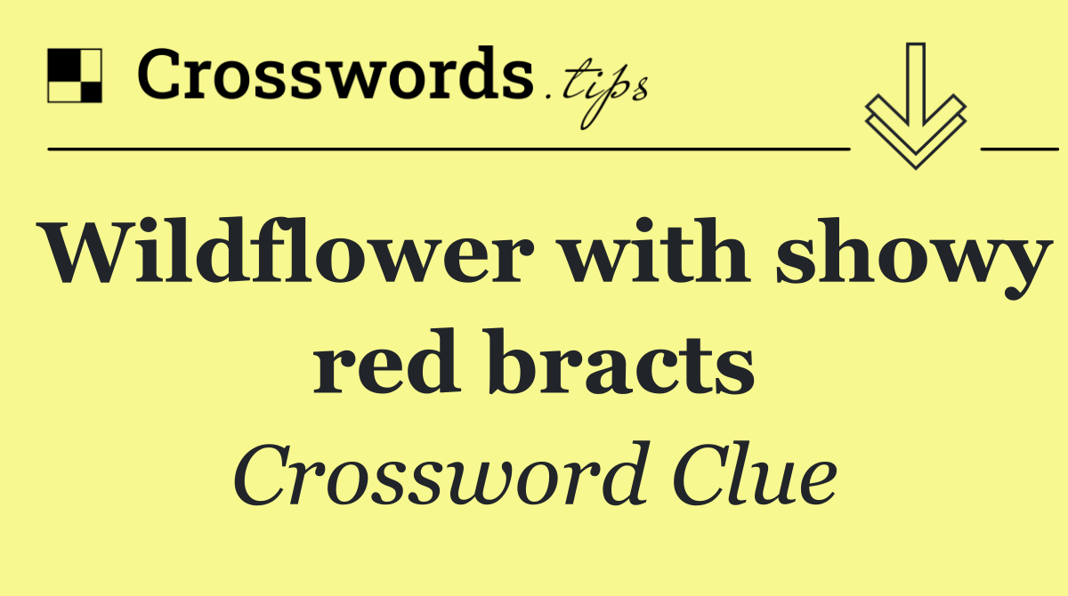 Wildflower with showy red bracts