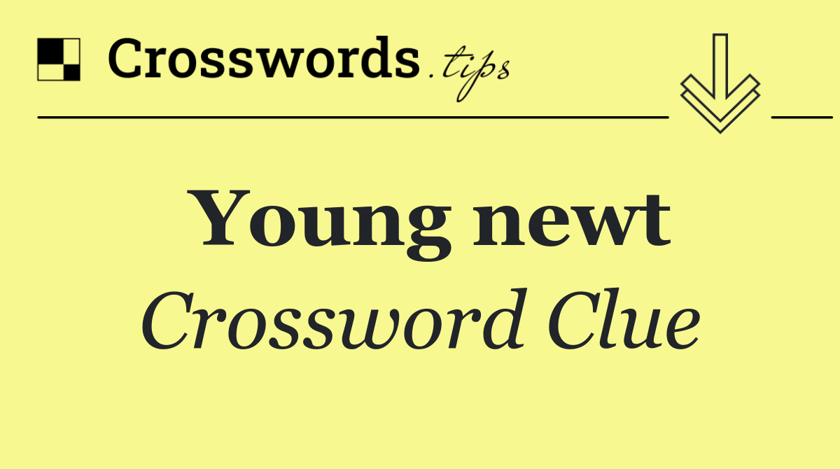 Young newt