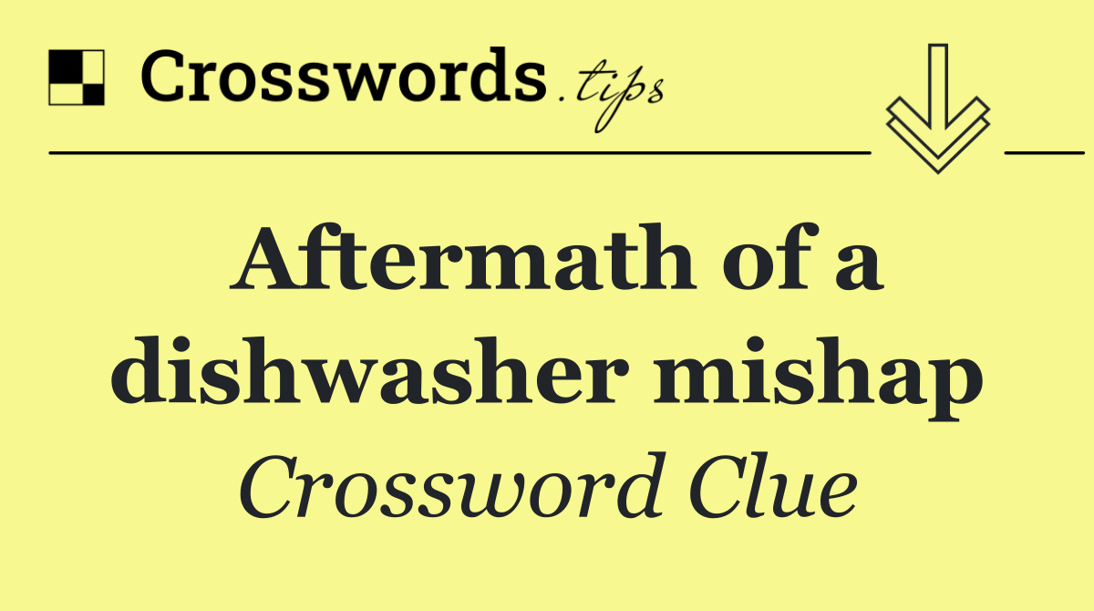 Aftermath of a dishwasher mishap