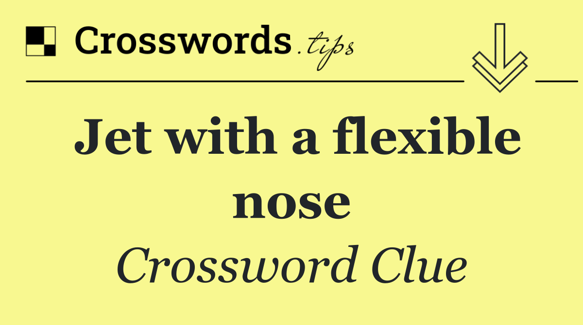 Jet with a flexible nose