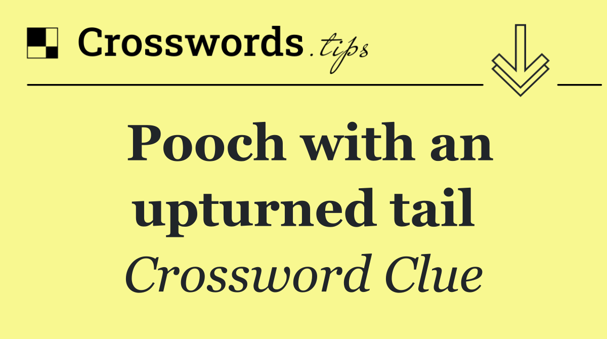 Pooch with an upturned tail