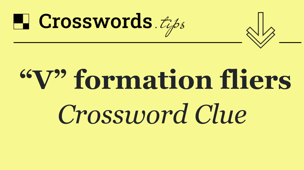 “V” formation fliers