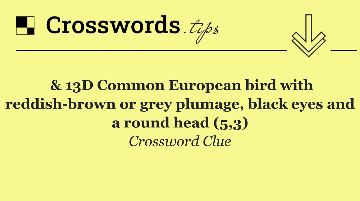 & 13D Common European bird with reddish brown or grey plumage, black eyes and a round head (5,3)