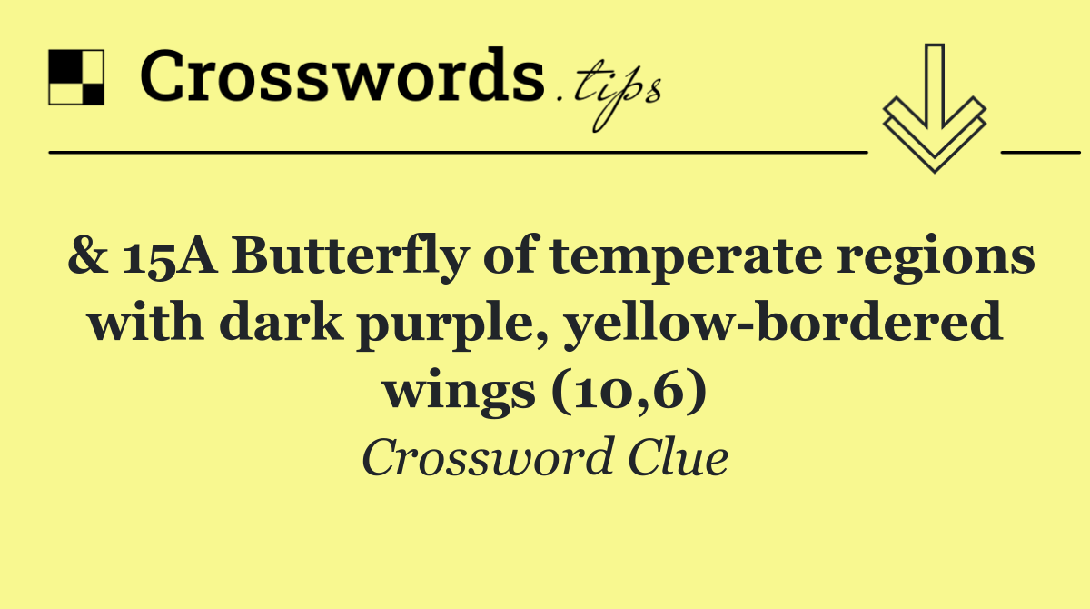 & 15A Butterfly of temperate regions with dark purple, yellow bordered wings (10,6)