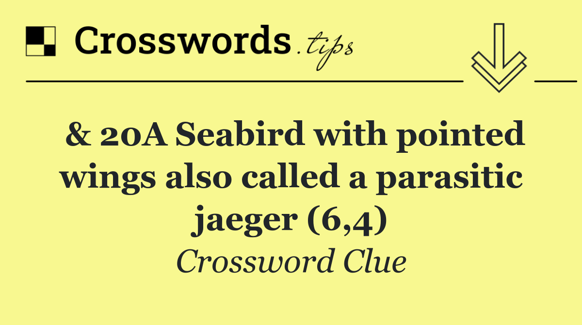 & 20A Seabird with pointed wings also called a parasitic jaeger (6,4)