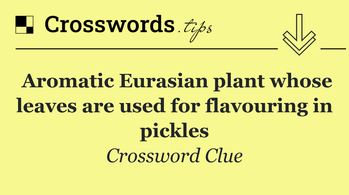 Aromatic Eurasian plant whose leaves are used for flavouring in pickles