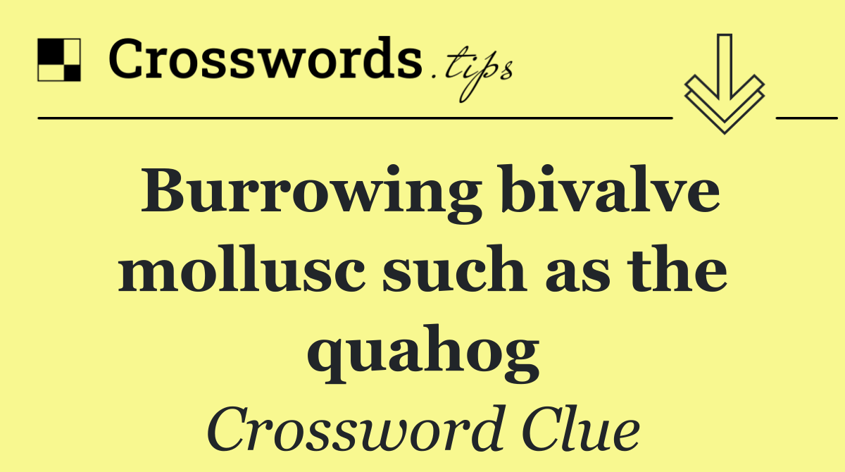 Burrowing bivalve mollusc such as the quahog