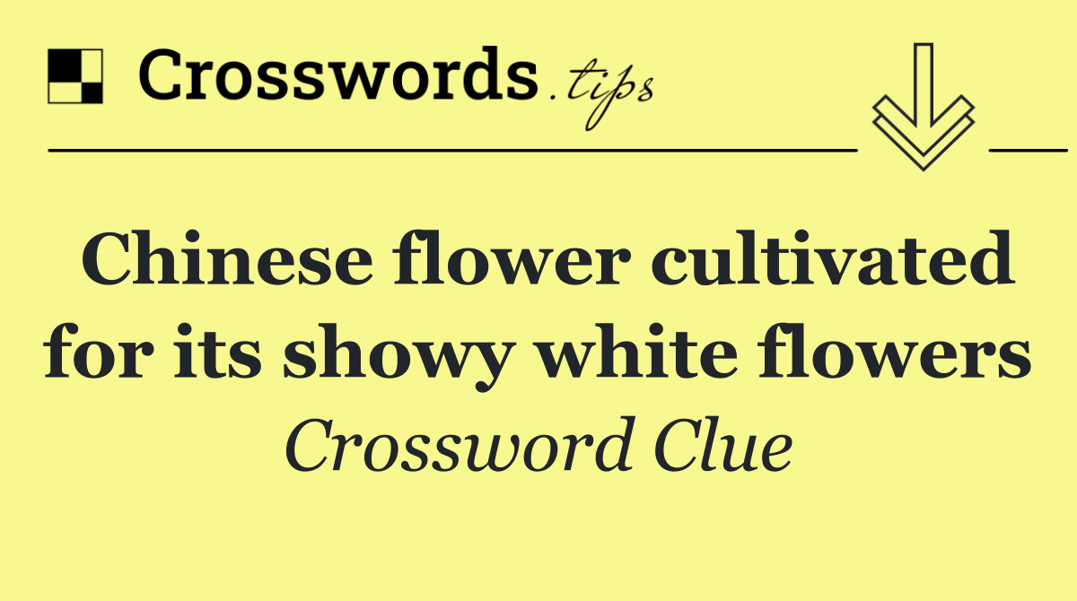 Chinese flower cultivated for its showy white flowers