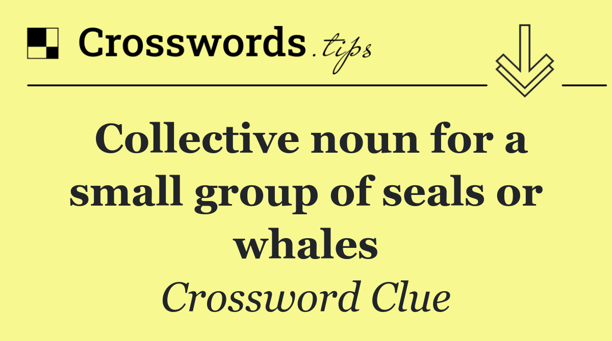 Collective noun for a small group of seals or whales