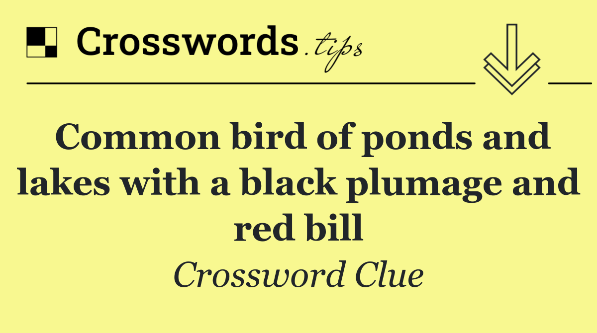 Common bird of ponds and lakes with a black plumage and red bill