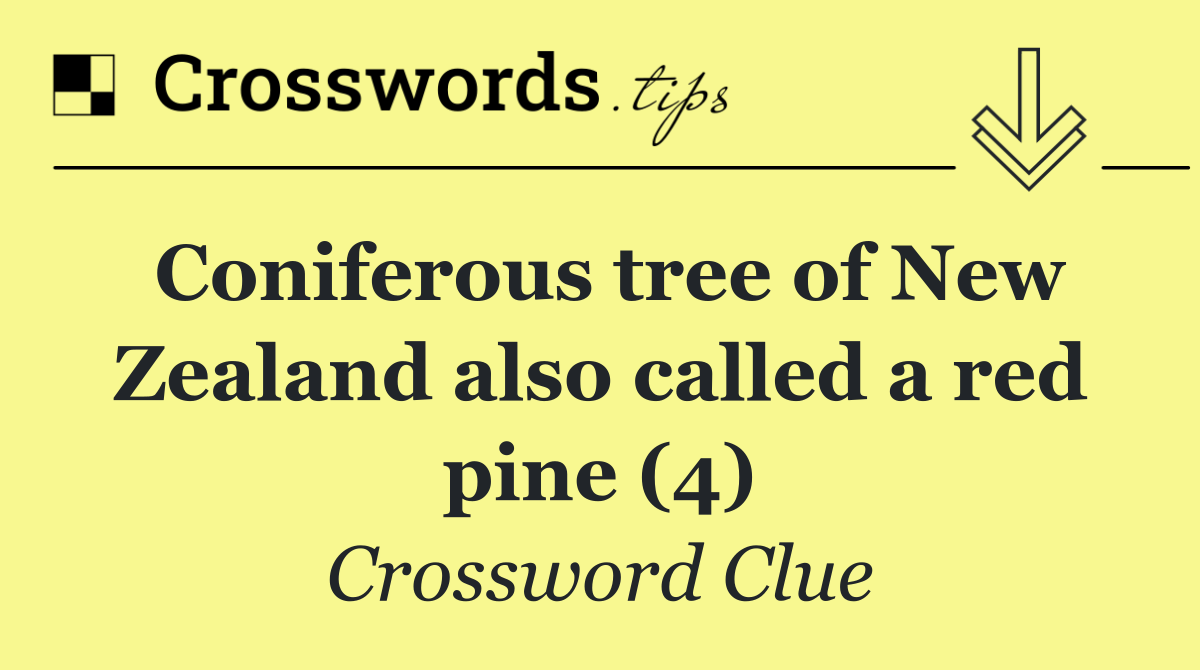 Coniferous tree of New Zealand also called a red pine (4)