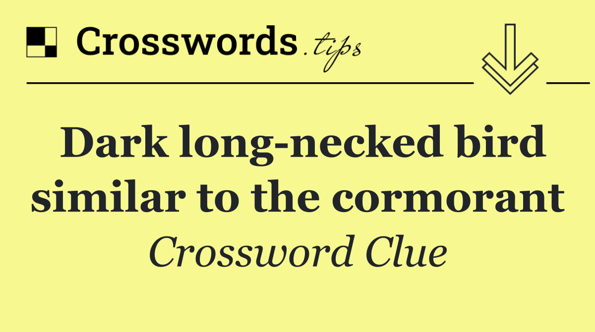 Dark long necked bird similar to the cormorant