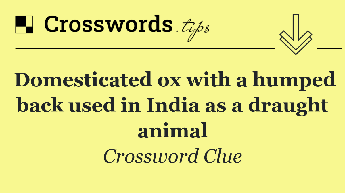 Domesticated ox with a humped back used in India as a draught animal