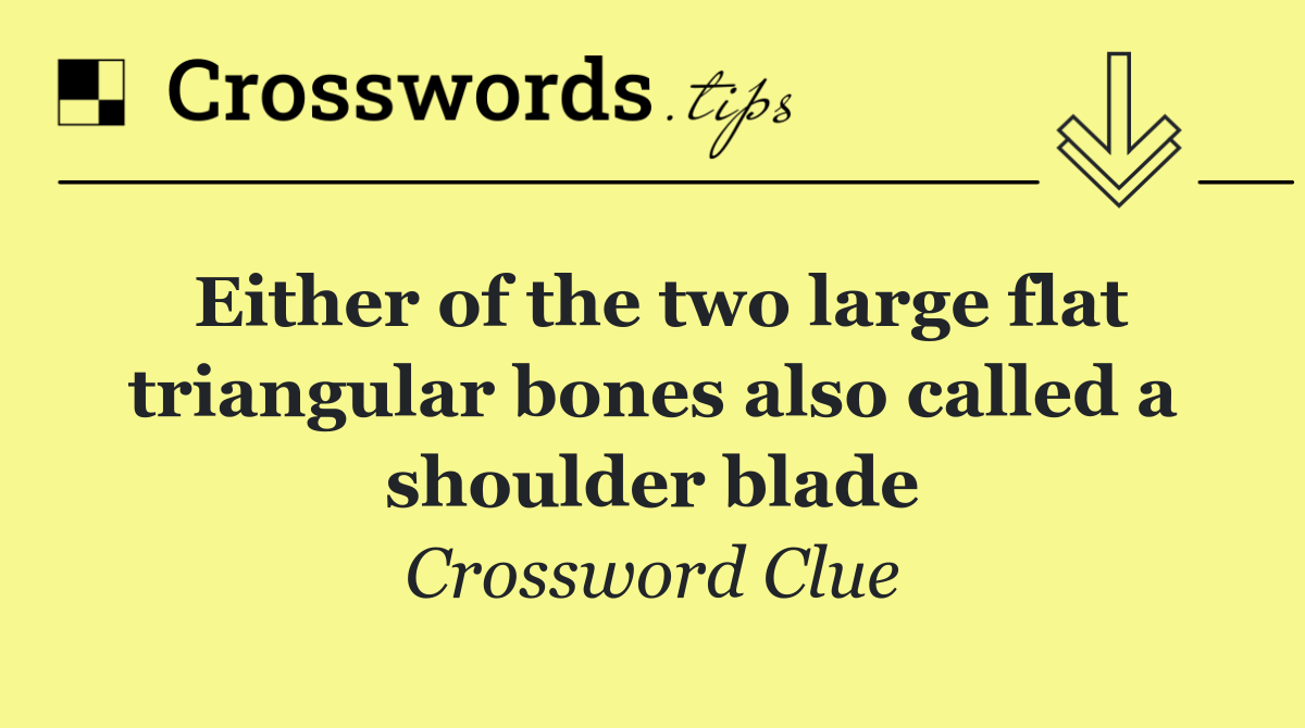 Either of the two large flat triangular bones also called a shoulder blade