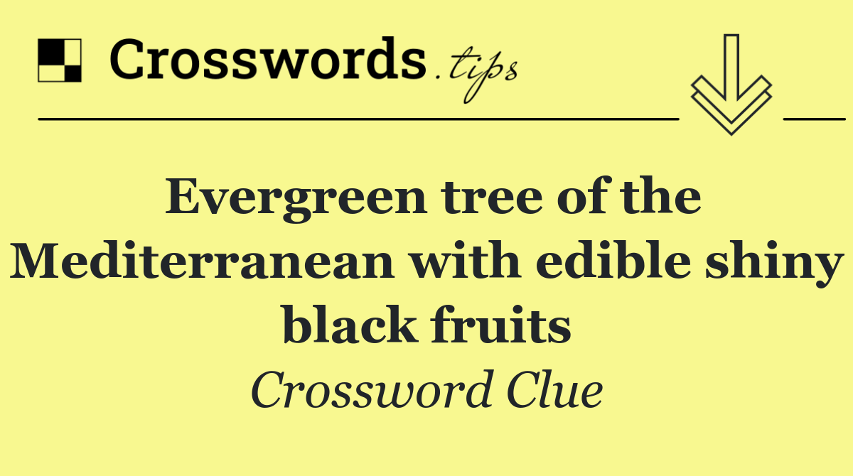 Evergreen tree of the Mediterranean with edible shiny black fruits