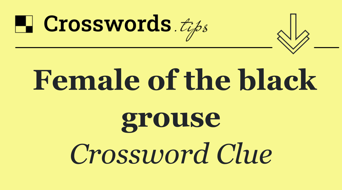 Female of the black grouse