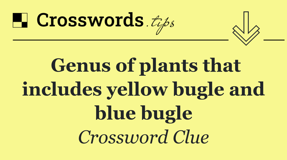 Genus of plants that includes yellow bugle and blue bugle