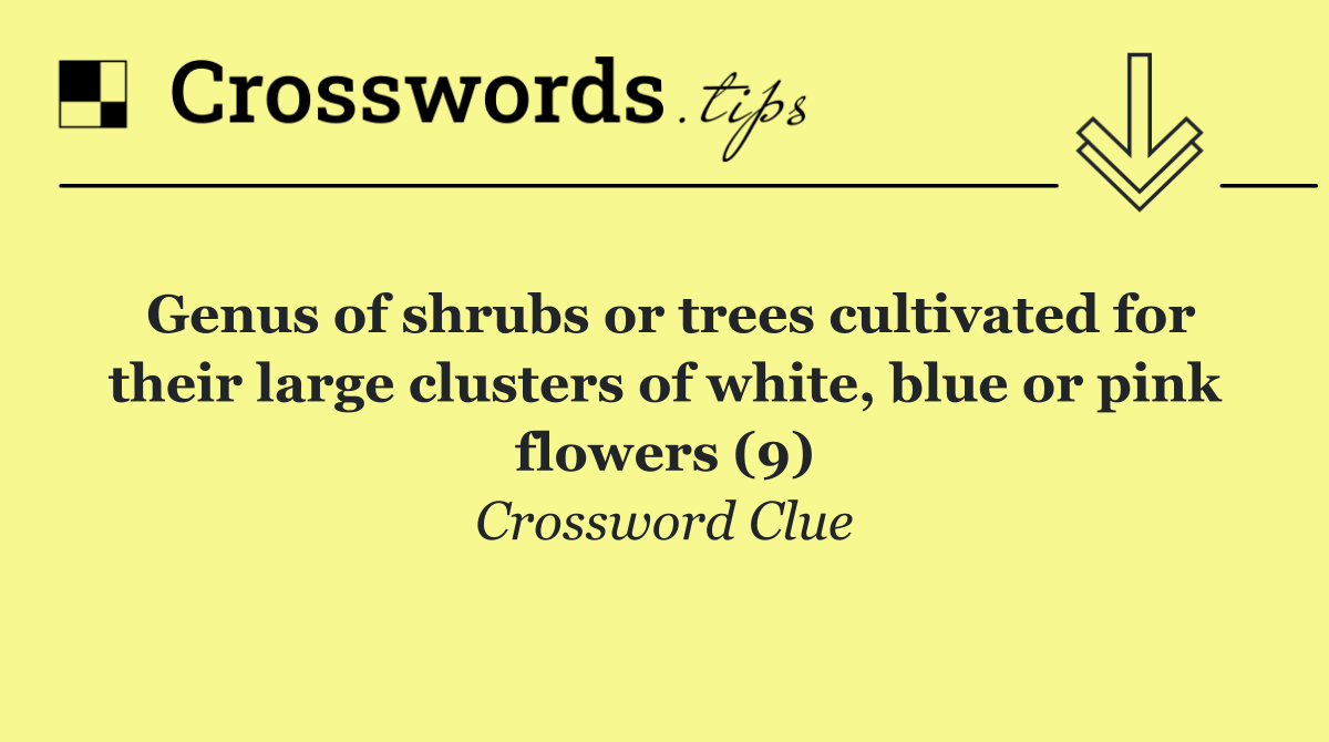 Genus of shrubs or trees cultivated for their large clusters of white, blue or pink flowers (9)
