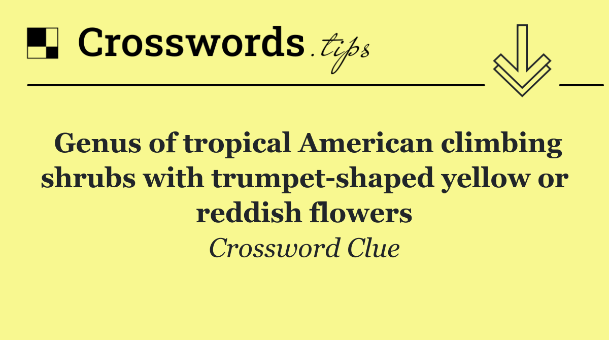 Genus of tropical American climbing shrubs with trumpet shaped yellow or reddish flowers