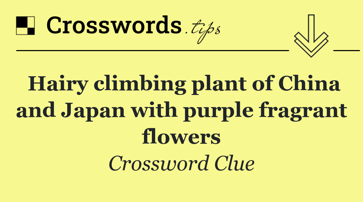 Hairy climbing plant of China and Japan with purple fragrant flowers