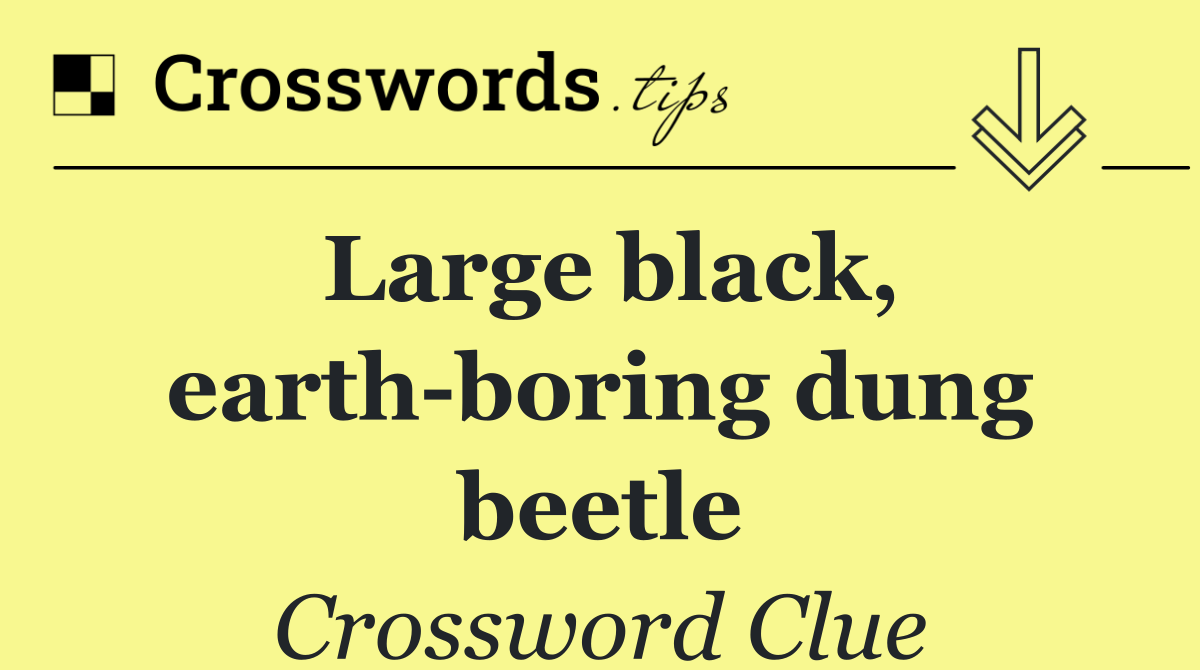 Large black, earth boring dung beetle