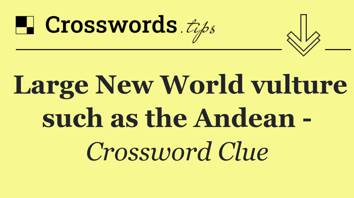 Large New World vulture such as the Andean  