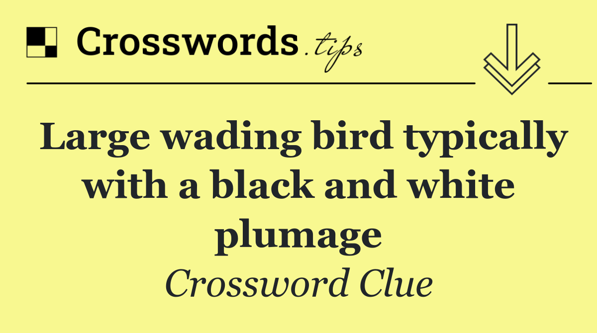 Large wading bird typically with a black and white plumage