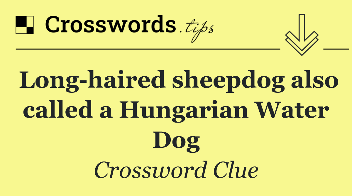 Long haired sheepdog also called a Hungarian Water Dog