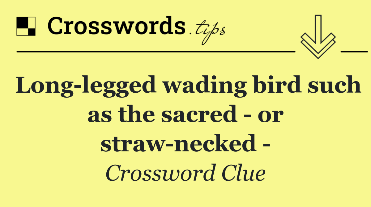 Long legged wading bird such as the sacred   or straw necked  