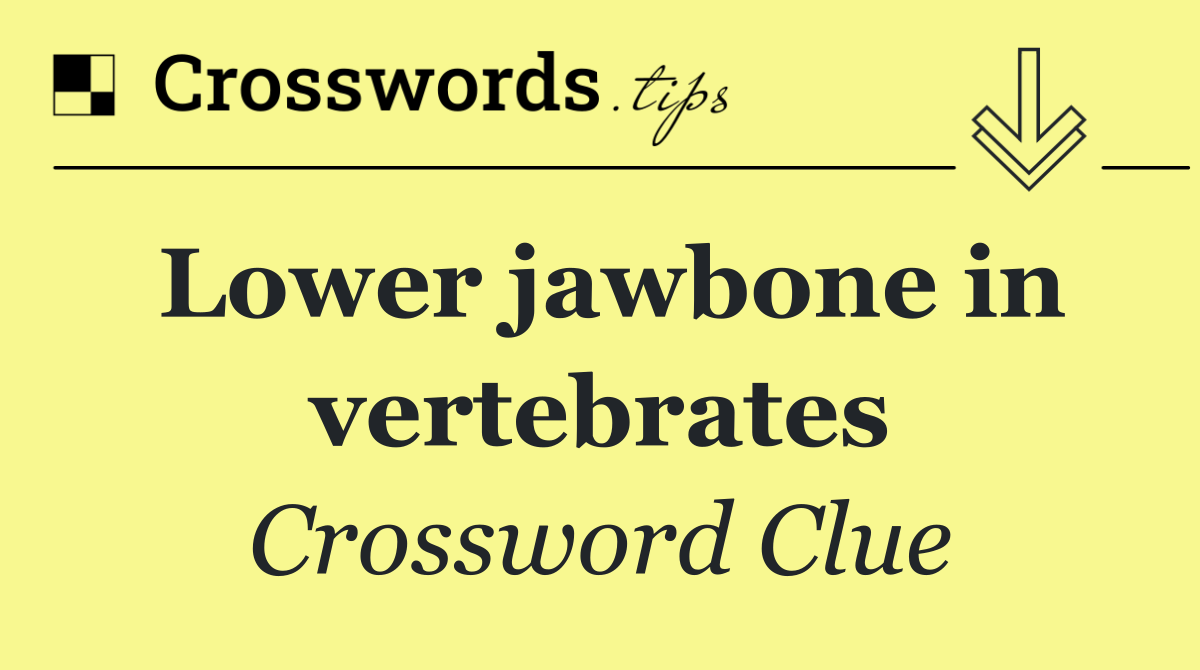 Lower jawbone in vertebrates