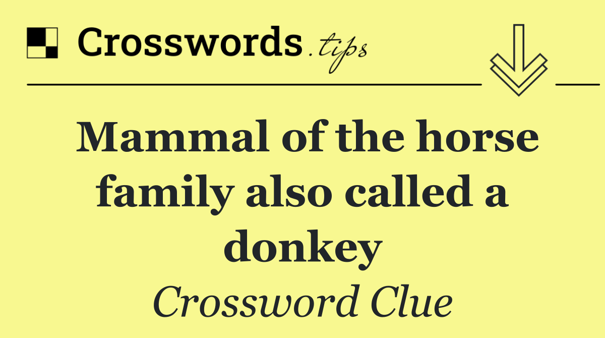 Mammal of the horse family also called a donkey