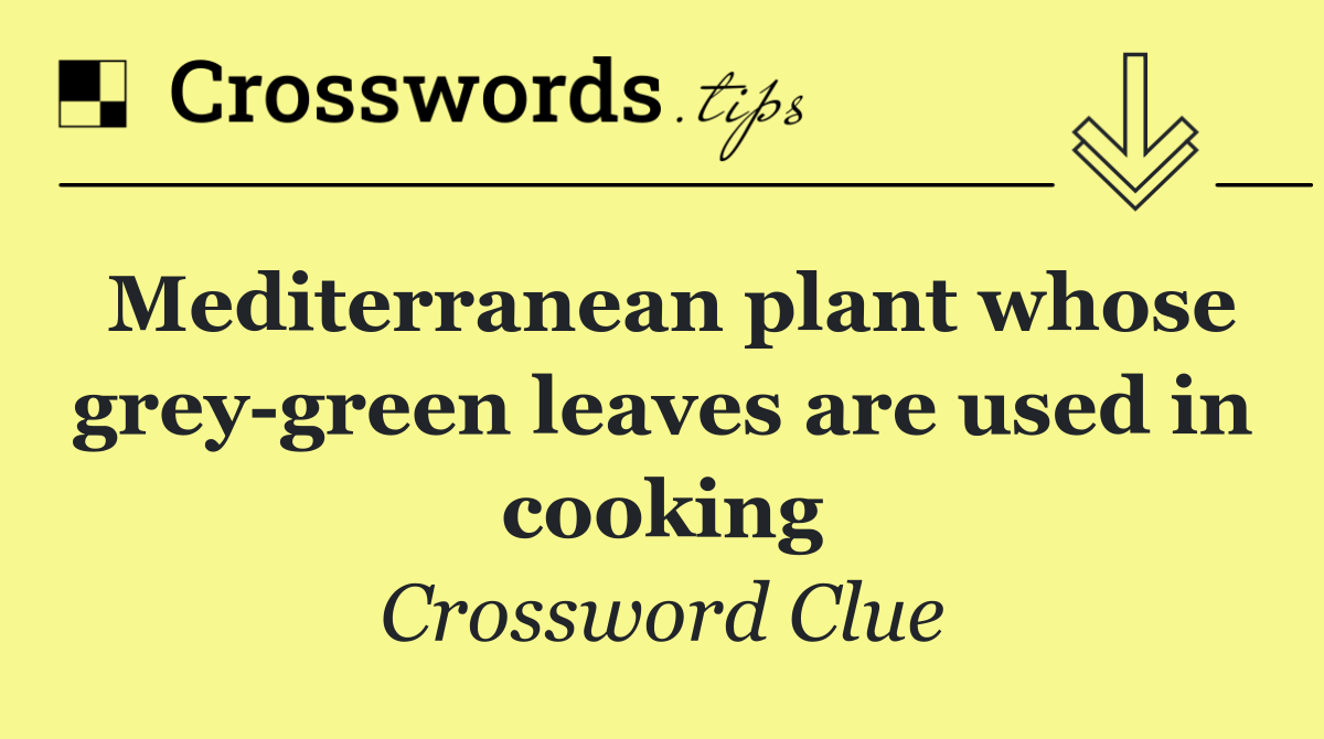 Mediterranean plant whose grey green leaves are used in cooking