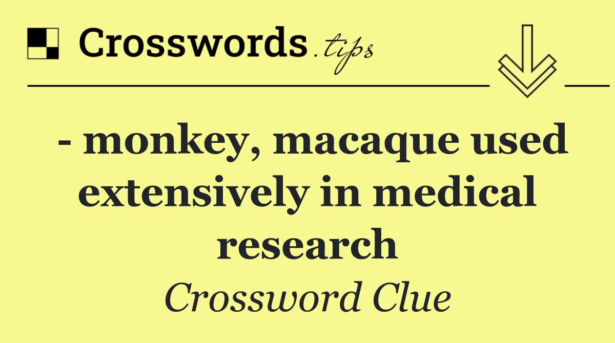   monkey, macaque used extensively in medical research