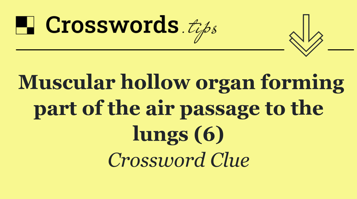 Muscular hollow organ forming part of the air passage to the lungs (6)