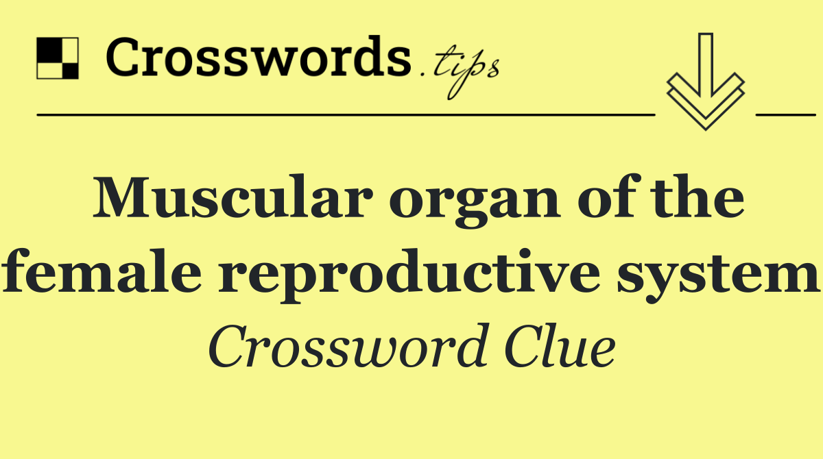 Muscular organ of the female reproductive system