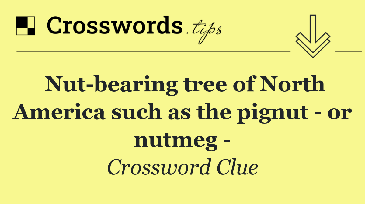 Nut bearing tree of North America such as the pignut   or nutmeg  