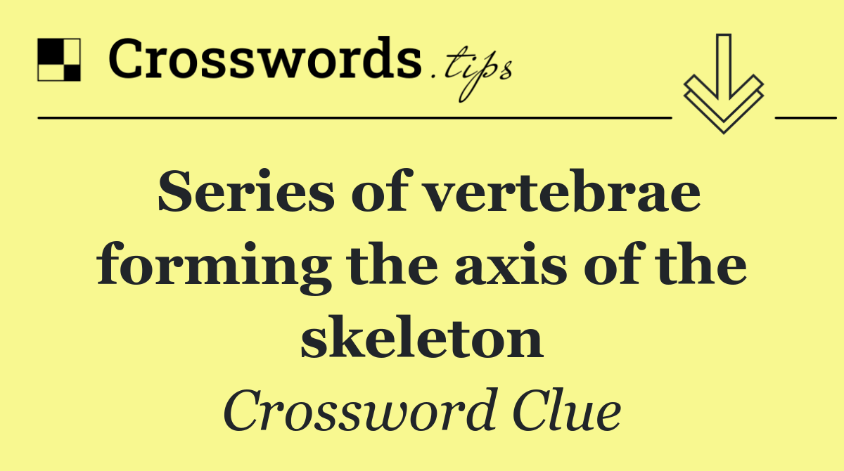 Series of vertebrae forming the axis of the skeleton