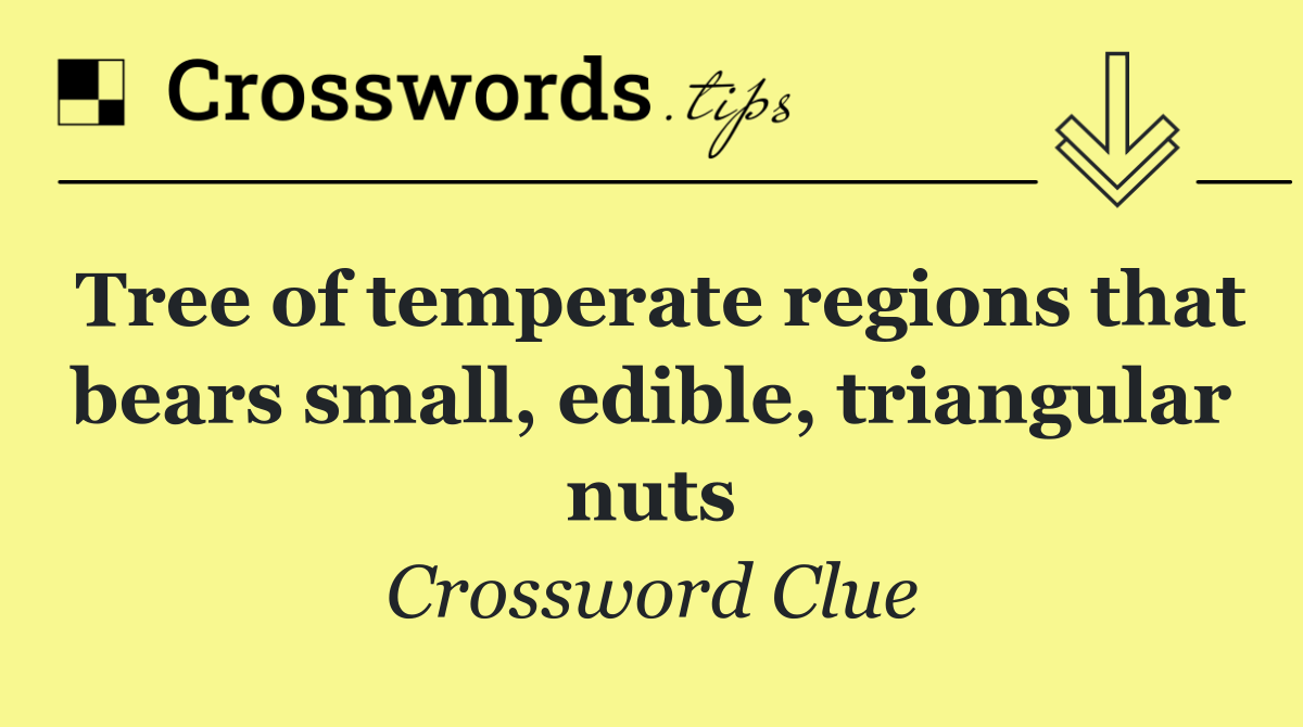 Tree of temperate regions that bears small, edible, triangular nuts