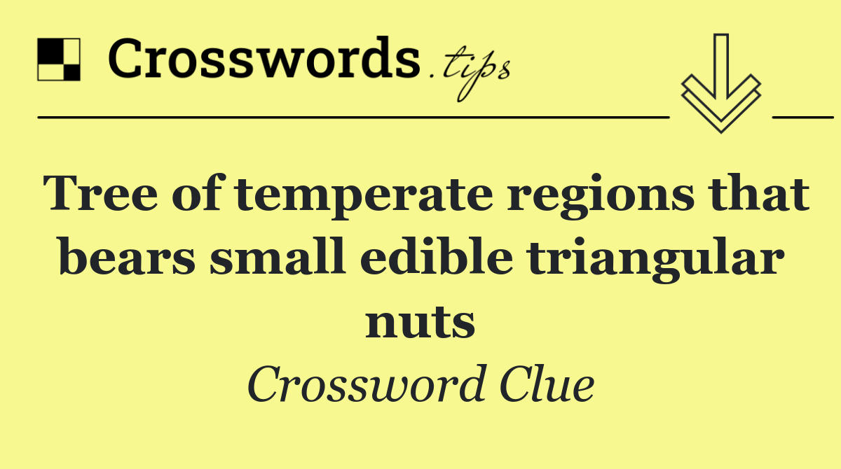 Tree of temperate regions that bears small edible triangular nuts