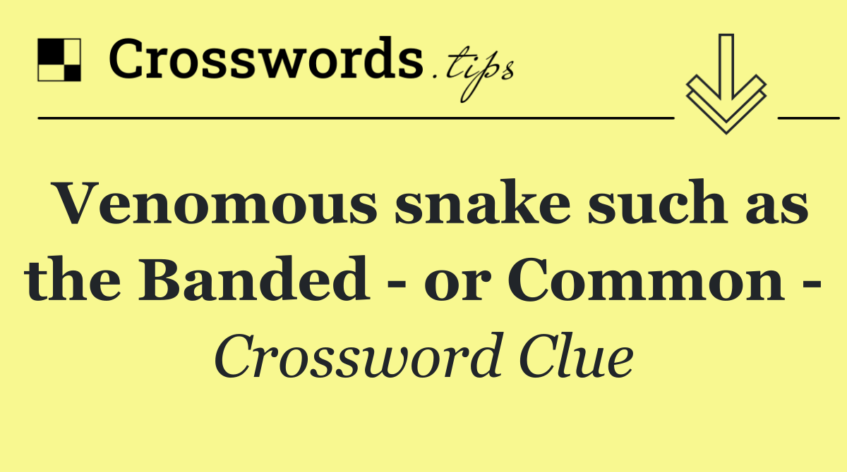 Venomous snake such as the Banded   or Common  