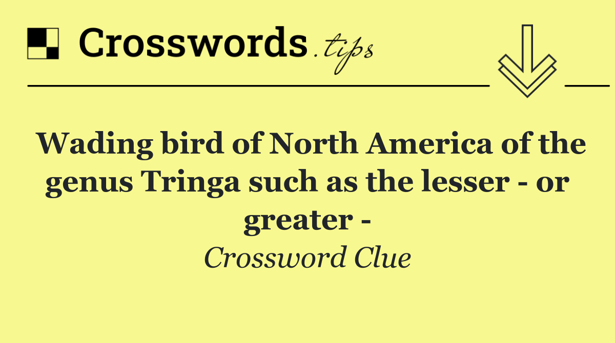 Wading bird of North America of the genus Tringa such as the lesser   or greater  