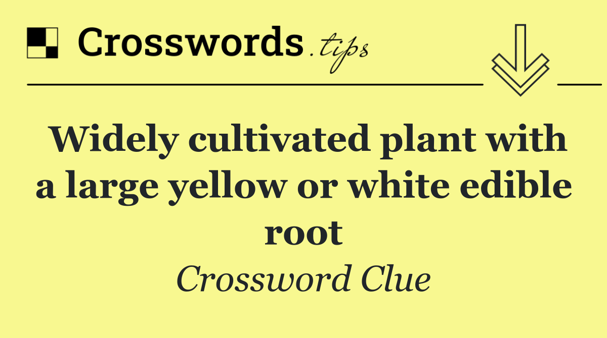 Widely cultivated plant with a large yellow or white edible root