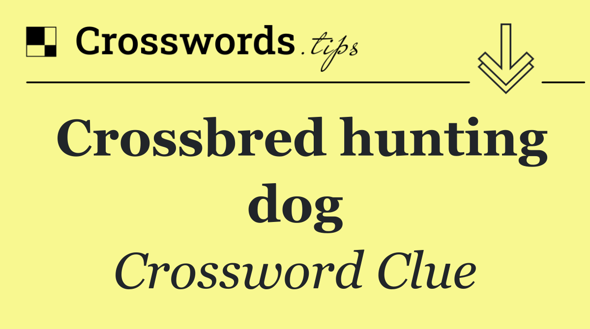 Crossbred hunting dog