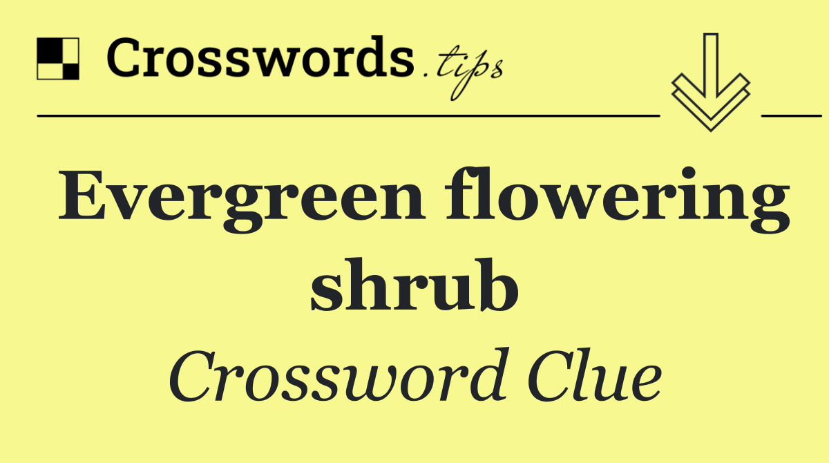 Evergreen flowering shrub