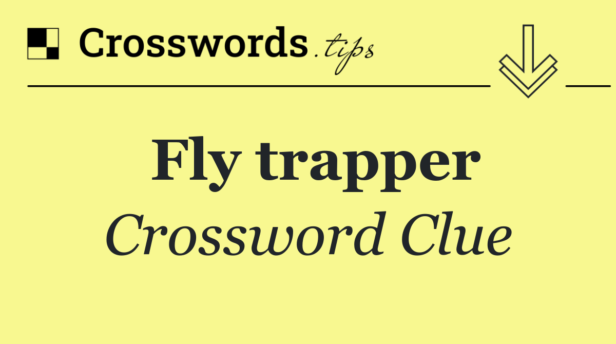 Fly trapper