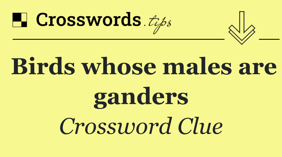 Birds whose males are ganders
