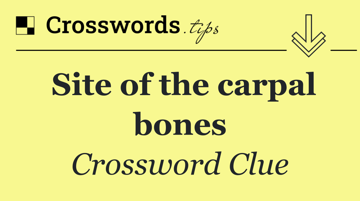 Site of the carpal bones