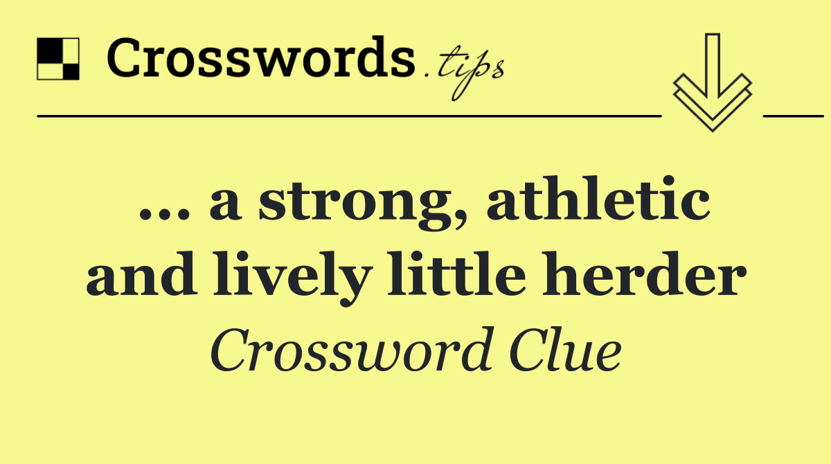 ... a strong, athletic and lively little herder
