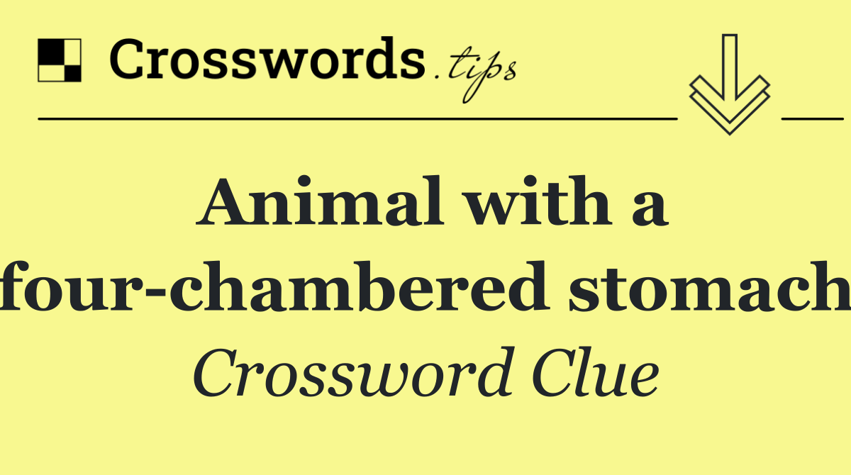 Animal with a four chambered stomach