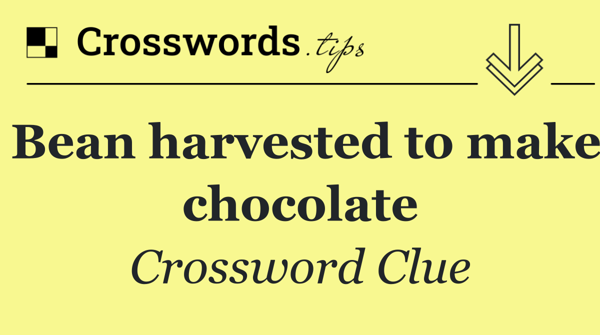 Bean harvested to make chocolate